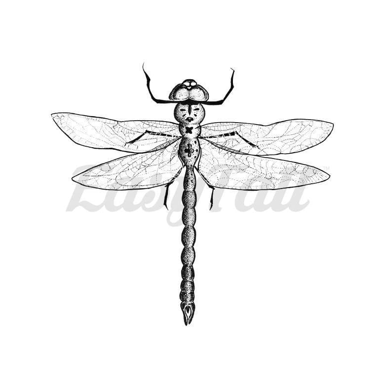 Dragon Fly - By Joana Mena - Temporary Tattoo