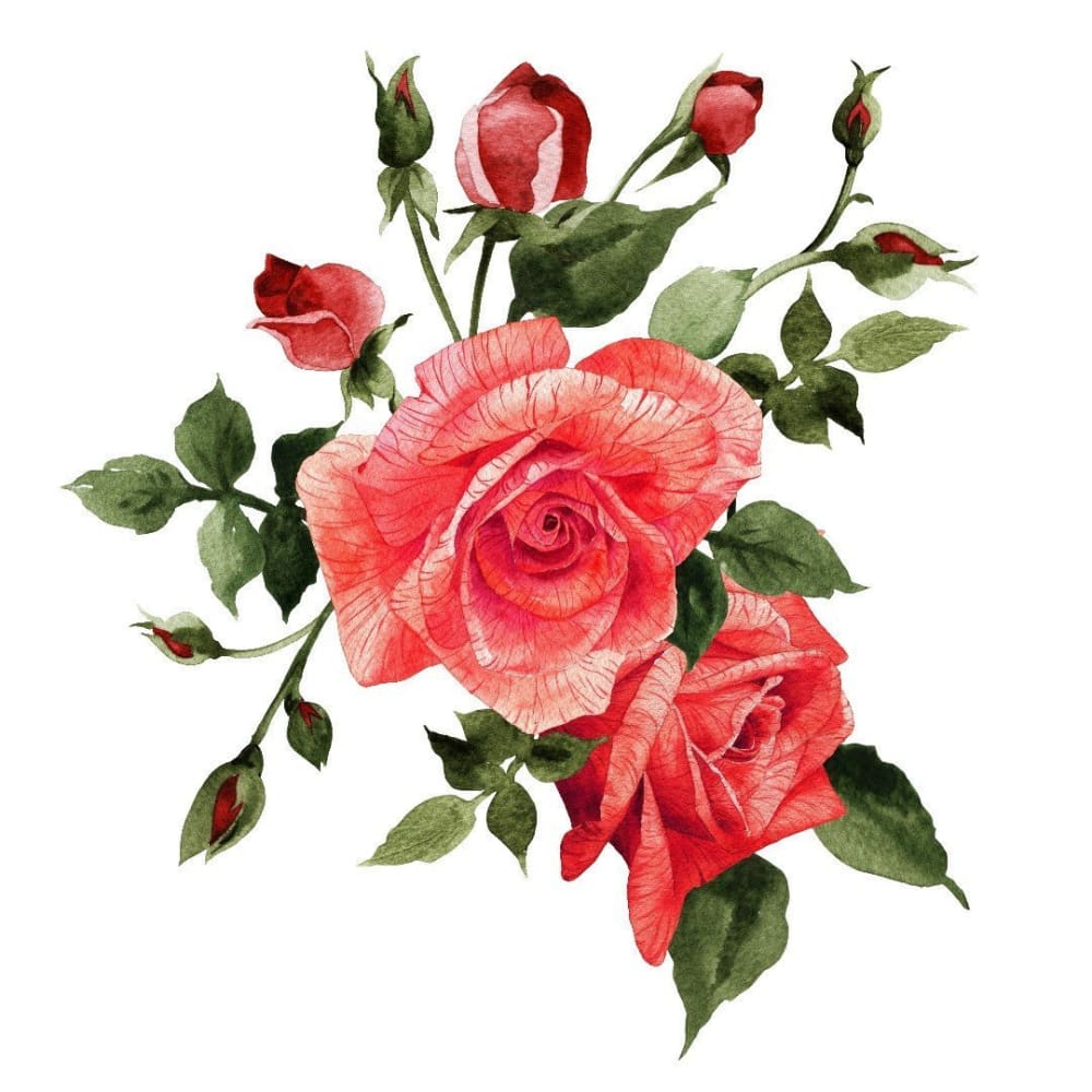 Roses - Temporary Tattoo