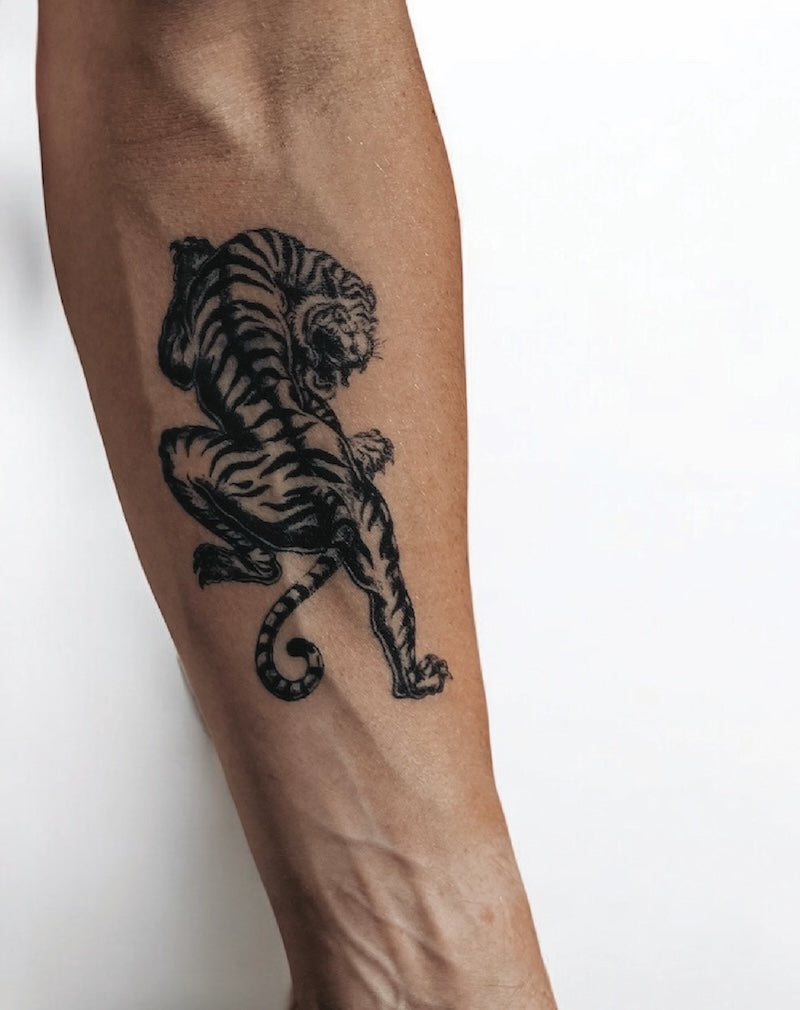 Tiger Crawl - Semi-Permanent Tattoo