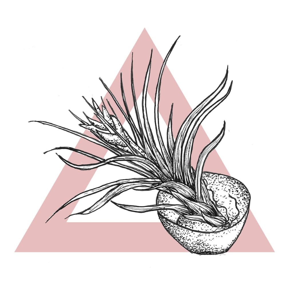 Till and Sia - By Jennifer Hayes - Temporary Tattoo